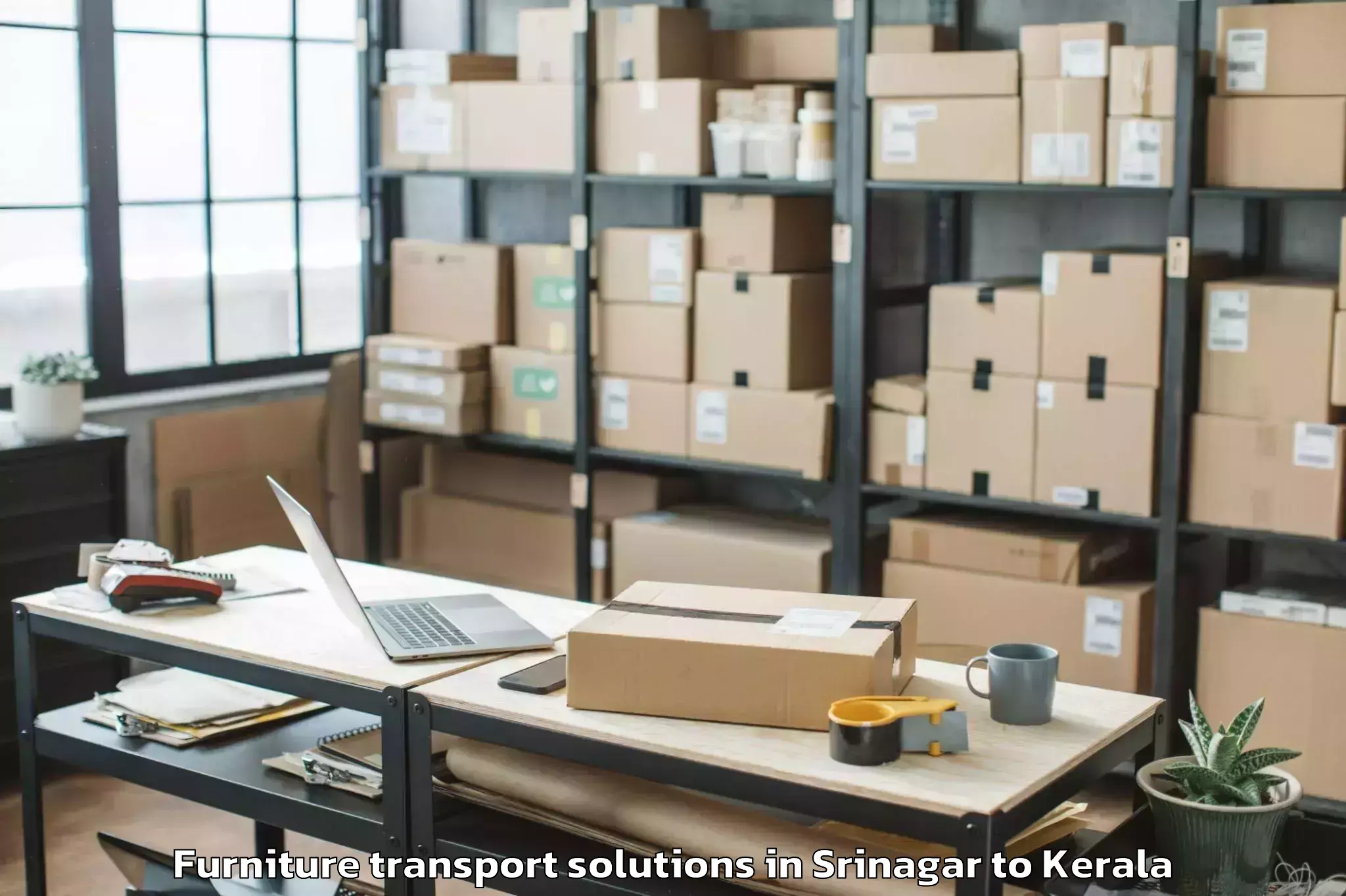 Get Srinagar to Kasaragod Furniture Transport Solutions